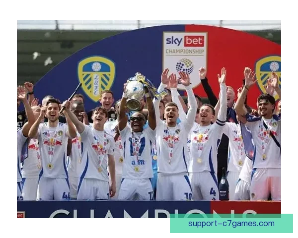 赫尔城俱乐部奋斗历程与英伦足球荣耀再出发十年风雨见证与未来蓝图展望