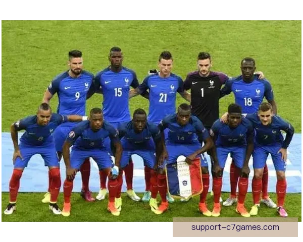 最权威的足球数据来源与精准性全面分析