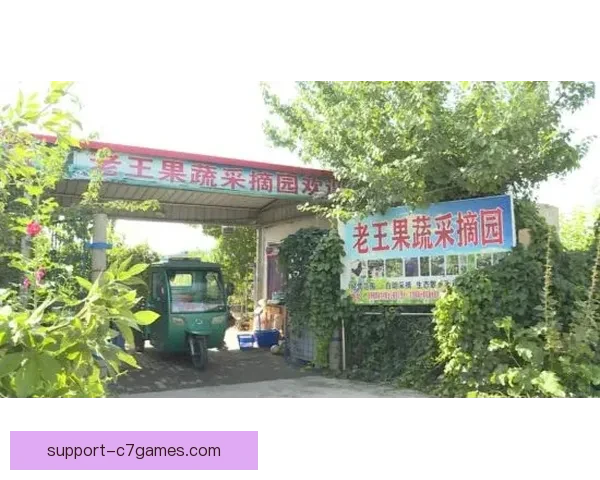 以农业博洛尼亚俱乐部为核心推动乡村振兴与现代农业发展新模式 以农业博洛尼亚俱乐部为核心推动乡村振兴与现代农业发展新模式